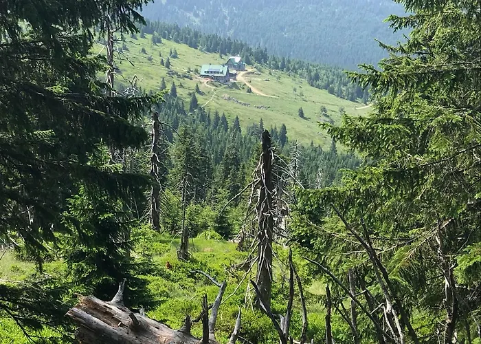 Appartement Gor-ski *