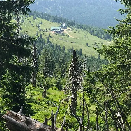 Apartamento Gor-ski *